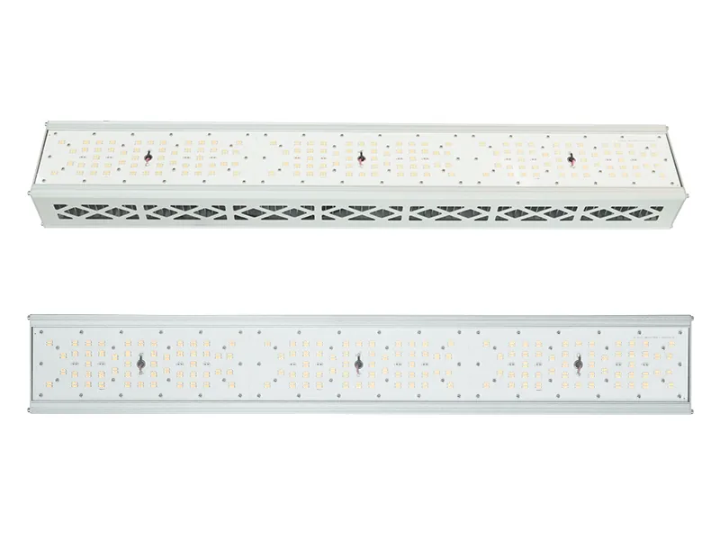 600W Top grow light