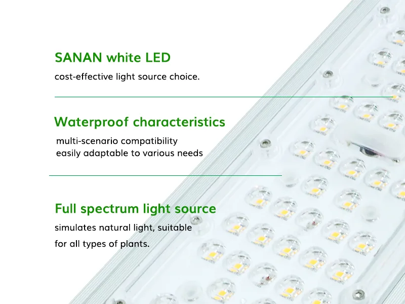 600W Top grow light