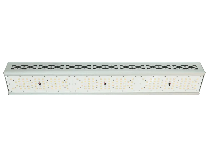 600W Top grow light