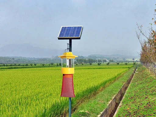 Agriculture