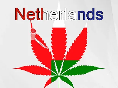 Why the Netherlands allows home cultivation of marijuana