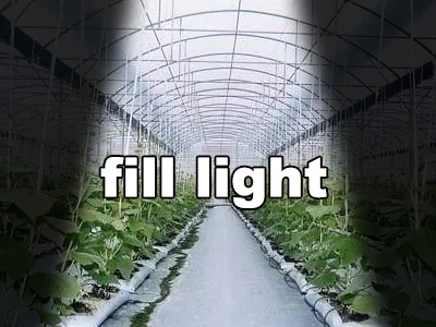 Reasons for supplementing lighting for greenhouses