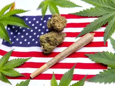 These states will legalize marijuana by 2024