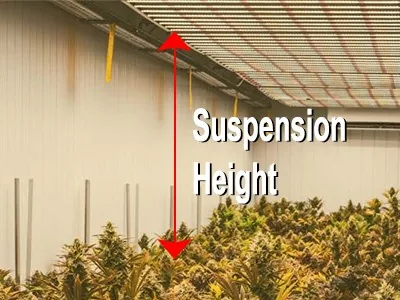 How far should LED grow lights be from plants