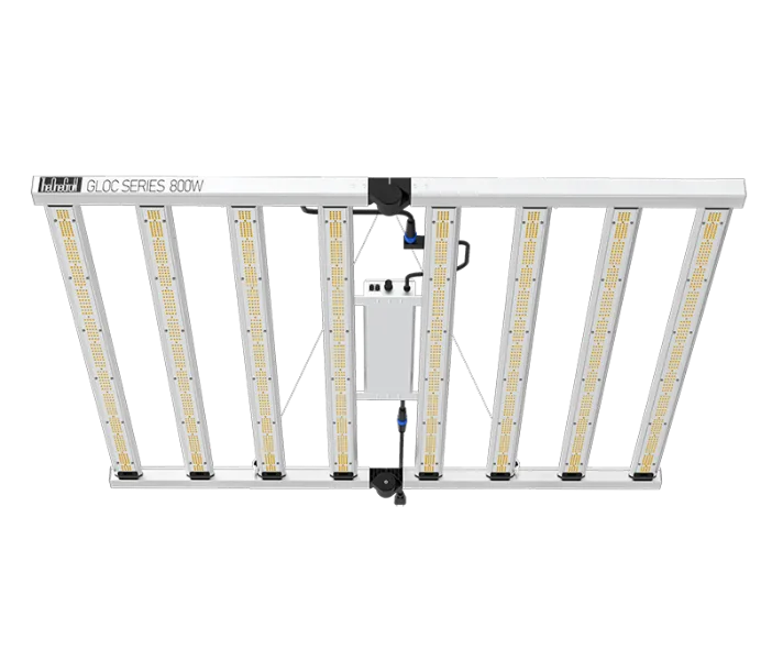 800W LED Grow Light