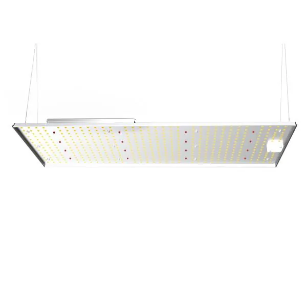 200W Grow Light panel