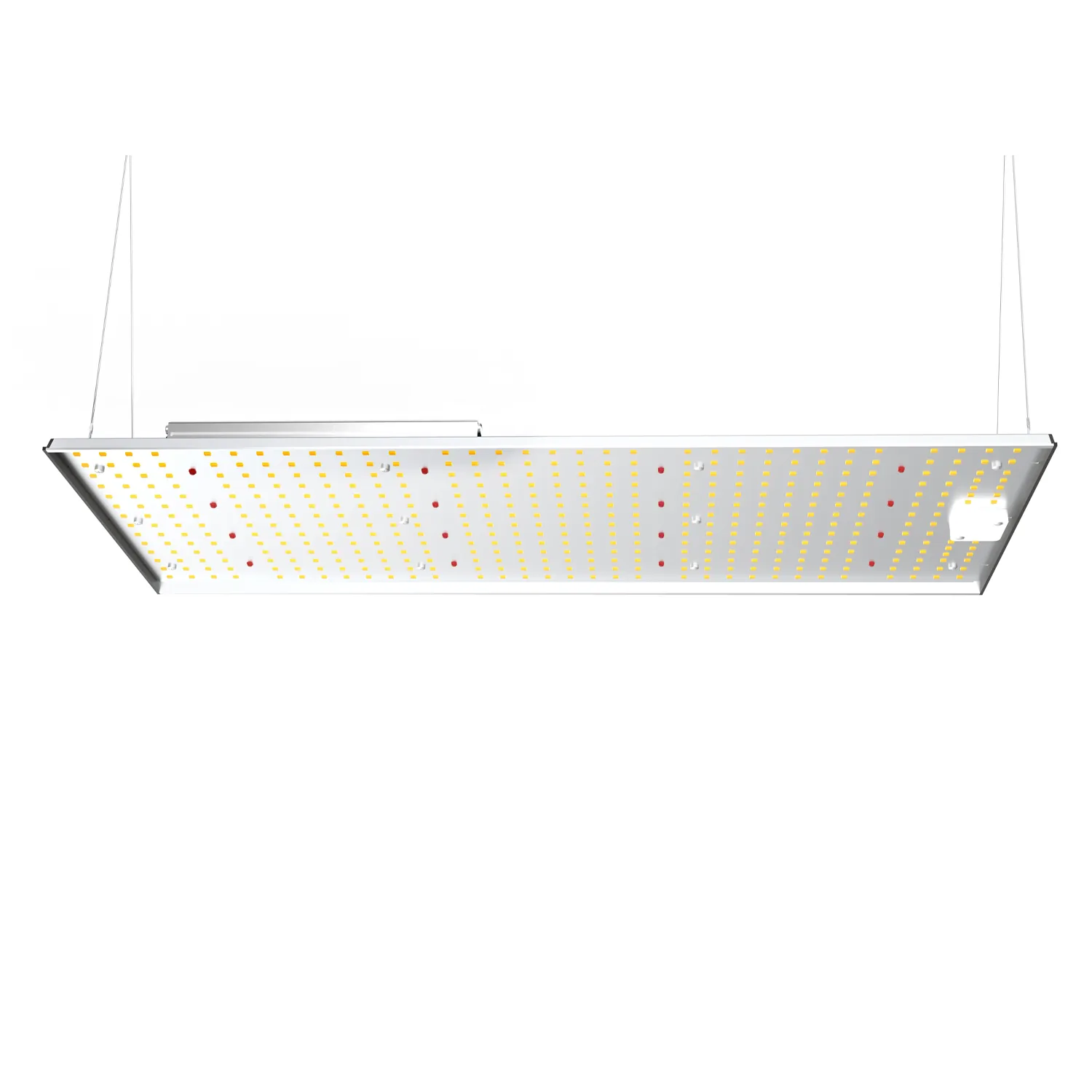 200W Grow Light panel