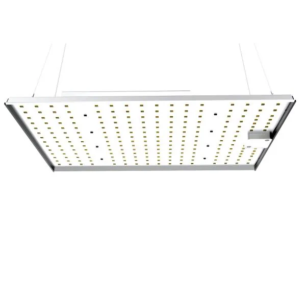 120W Quantum Board Grow Light