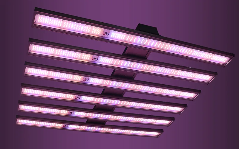 Grow Cannabis With LED Lights Grow Cannabis With LED Lights