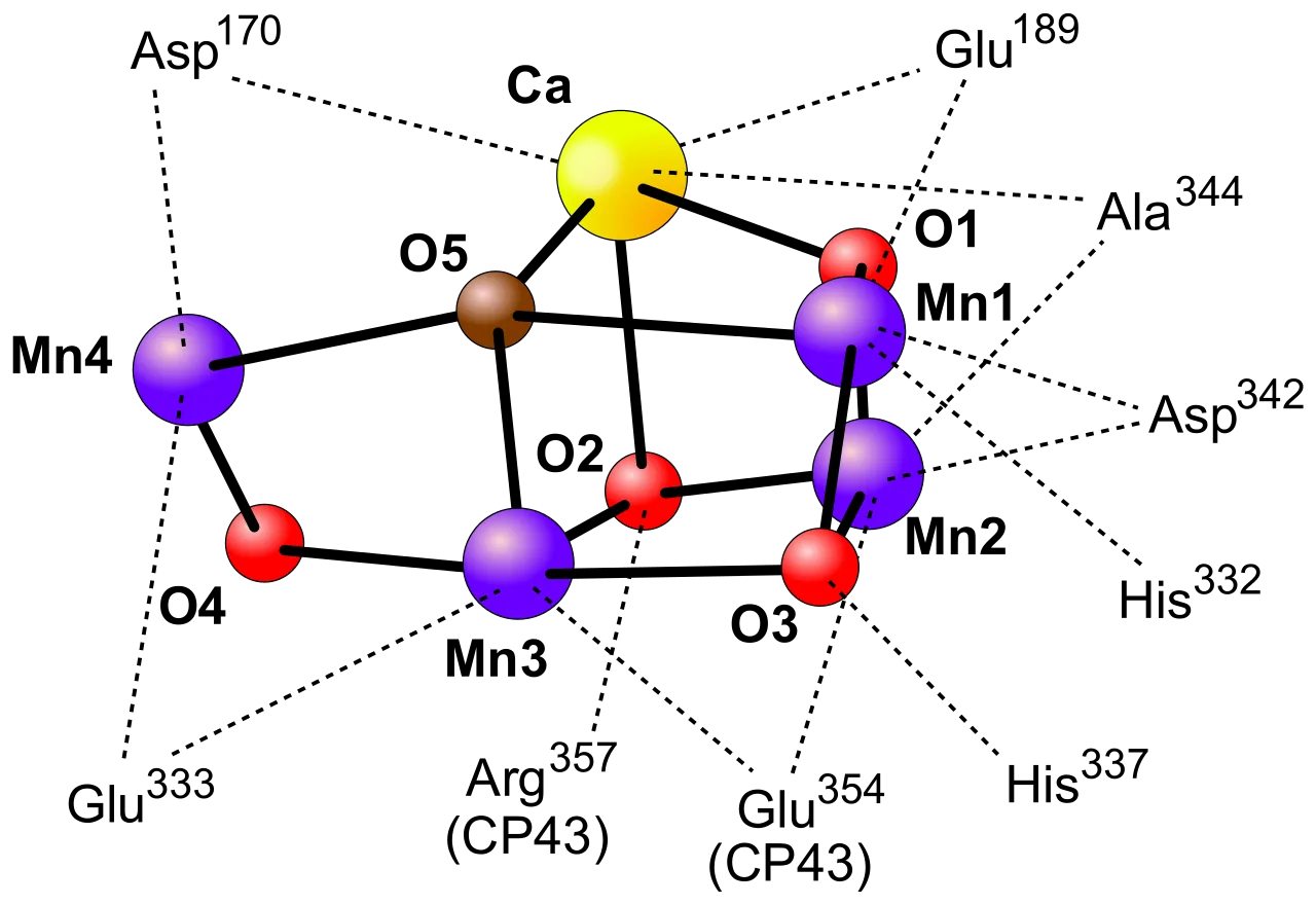 1685500588305052663.png 10003.png
