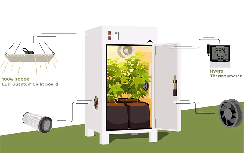 Growing marijuana indoors Growing marijuana indoors