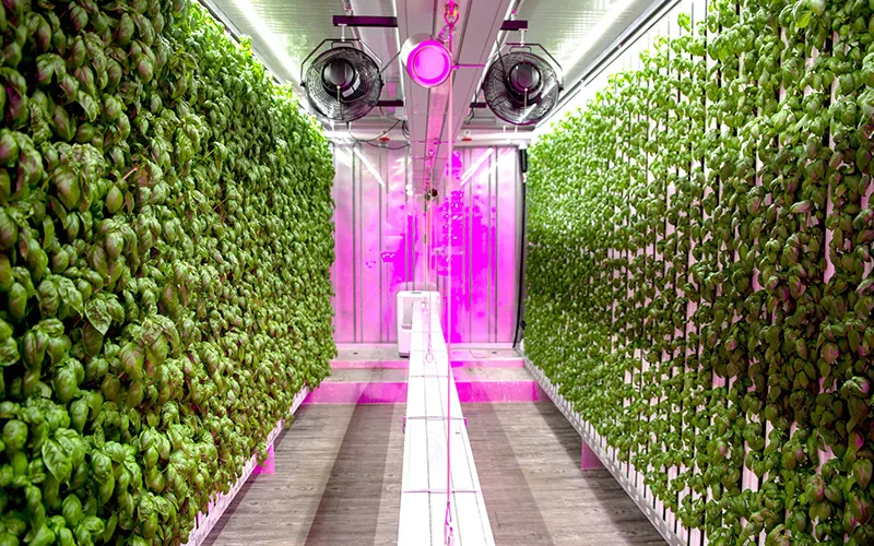 1685522884036005015.jpg Vertical Farming Infinite Possibilities Brought by Limited Space.jpg