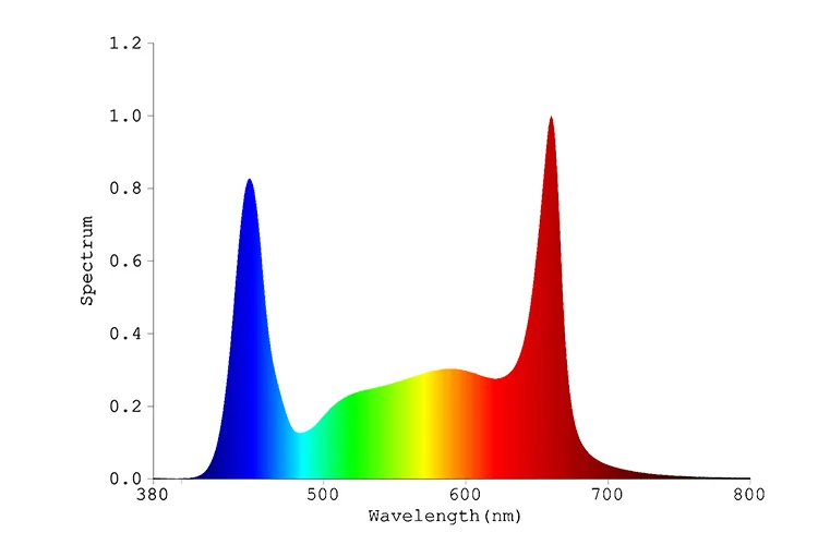 1687166949489065150.jpg Full-Spectrum.jpg