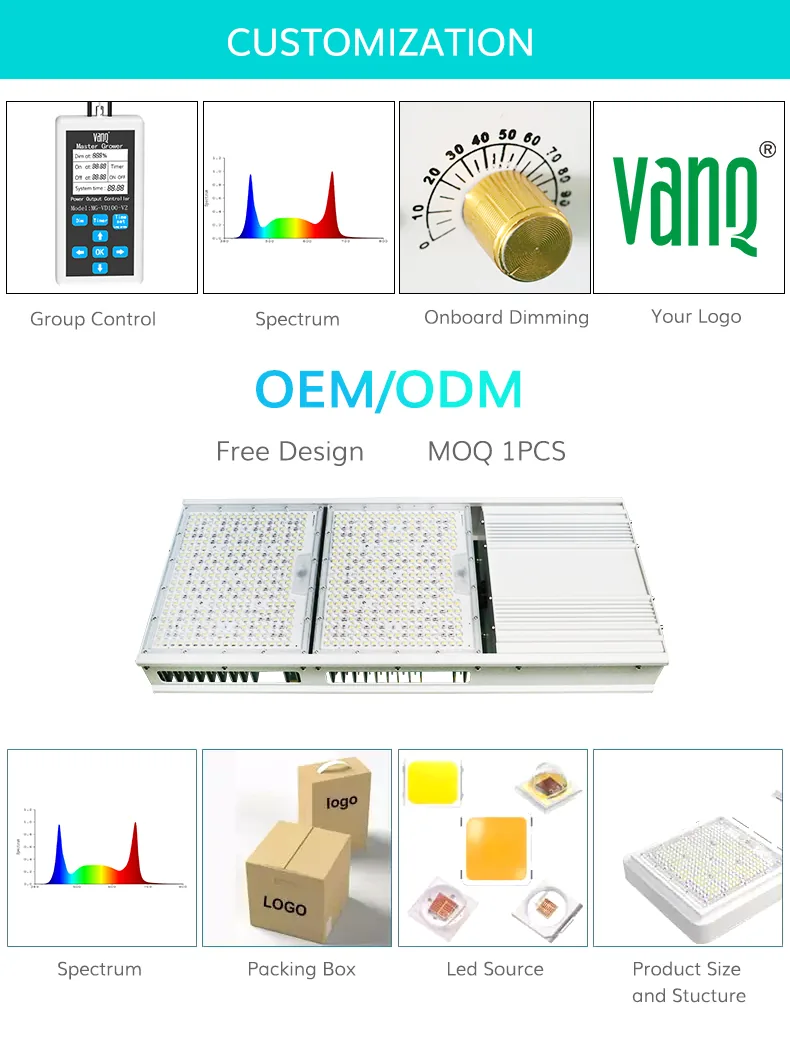 1687170066210076882.jpg odm.jpg