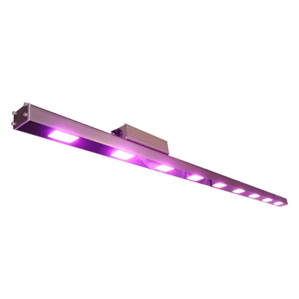 T8 red blue grow lights T8 red blue grow lights