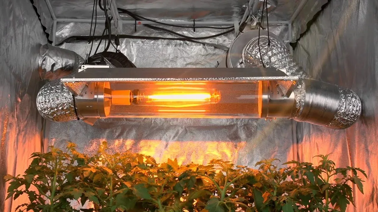 High-intensity Discharge Lamp(HID) High-intensity Discharge Lamp(HID)