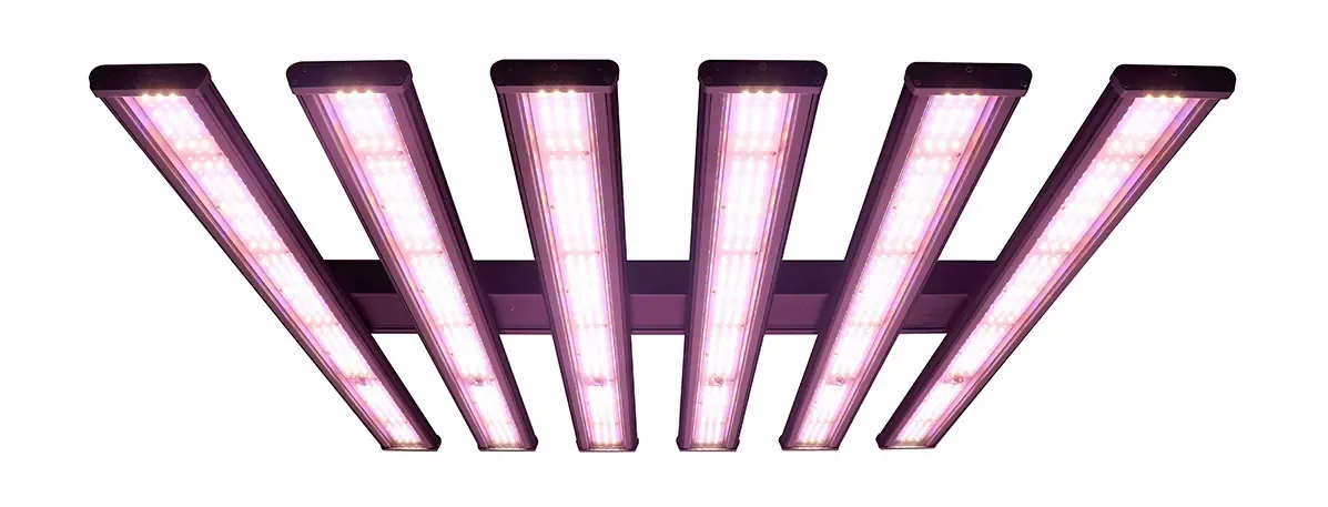 Light Emitting Diode(LED) Light Emitting Diode(LED)