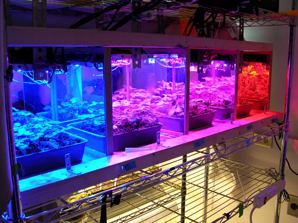 Photobiology Research With Different Light Sources Photobiology Research With Different Light Sources