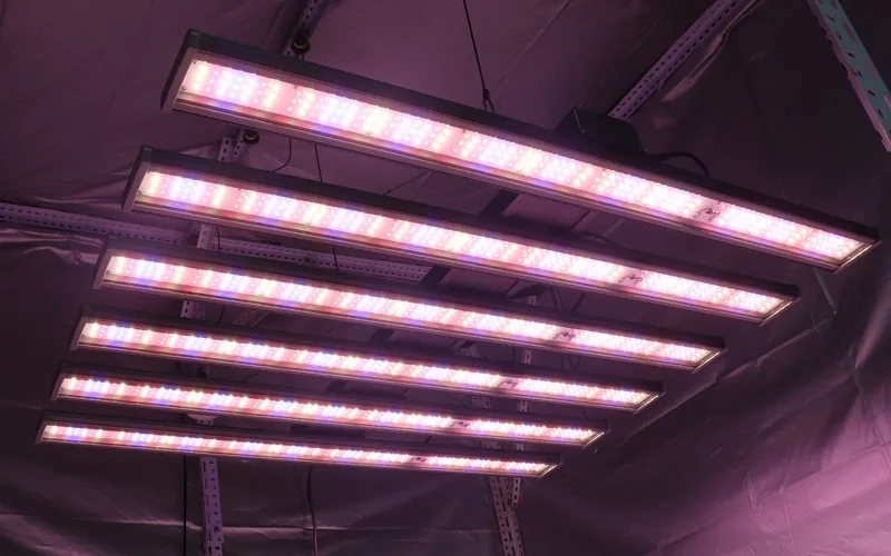 GLMX720 720W Full Spectrum LED Grow Light GLMX720 720W Full Spectrum LED Grow Light