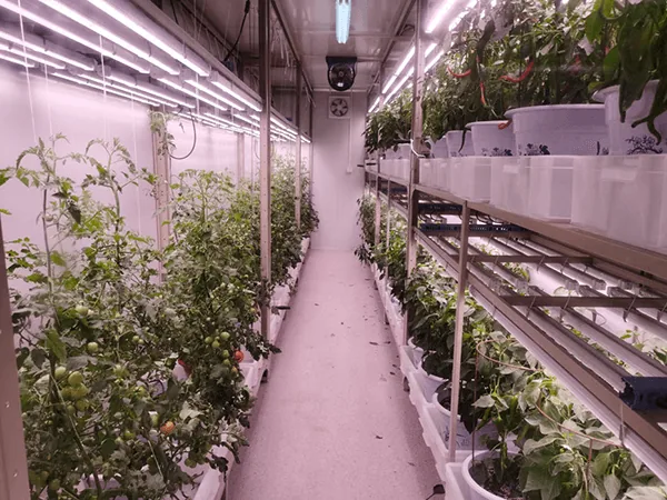 1688712815016081118.png container-farming-image-1.png