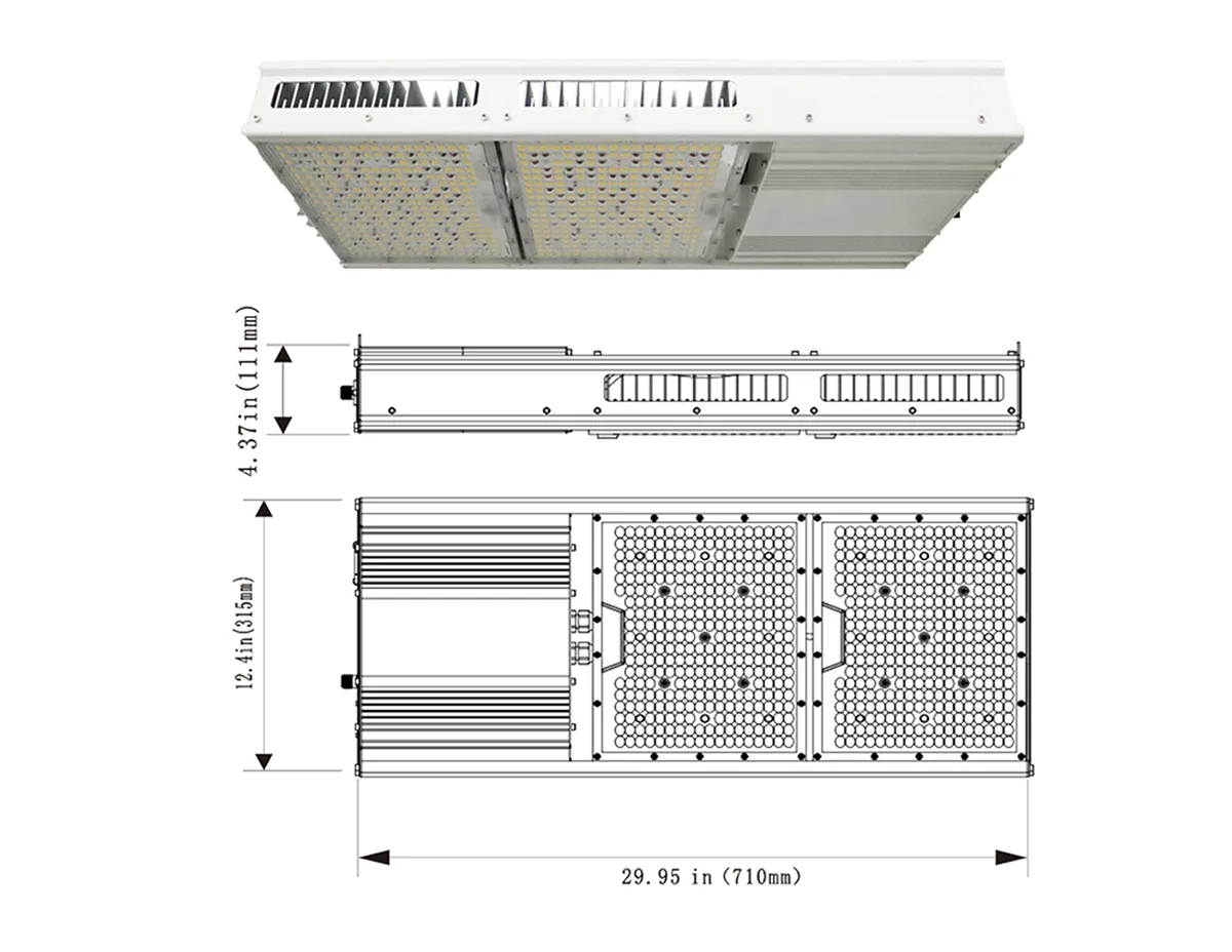 1700488201192016328.jpg Dimensions.jpg