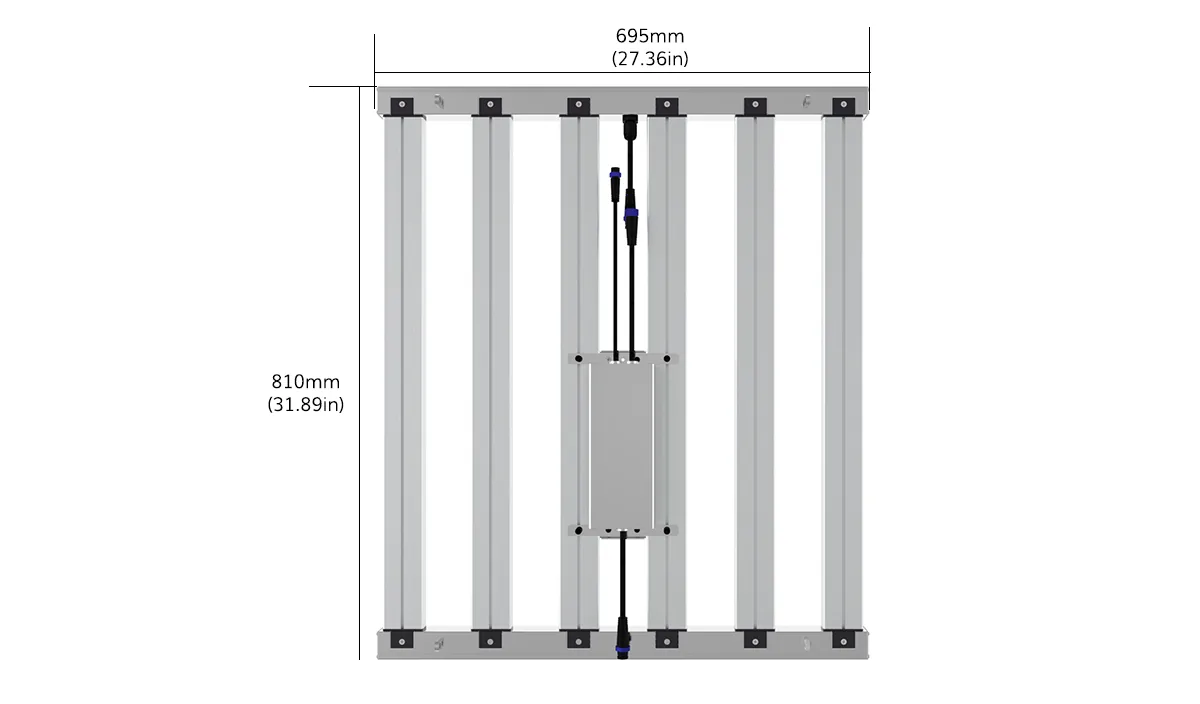 1700535819505015722.jpg Dimensions.jpg