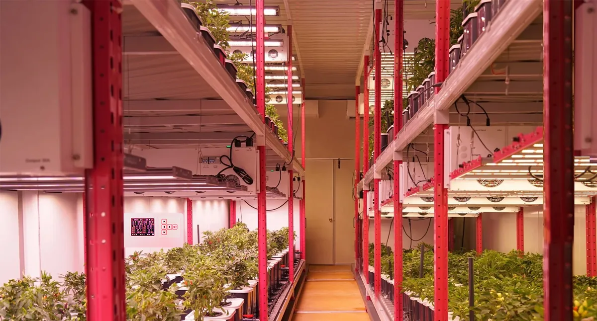 The controller is combined with lamps and applied on plant containers The controller is combined with lamps and applied on plant containers