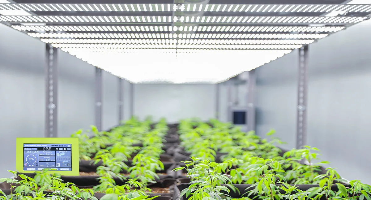 Controller combined with lighting fixtures used in plant factories.jpg Controller combined with lighting fixtures used in plant factories.jpg