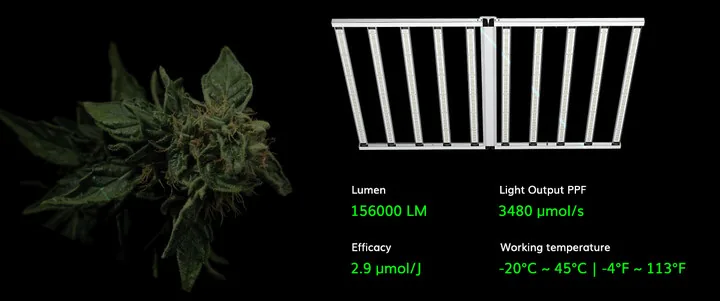foldable 1200W cannabis grow light