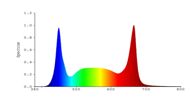 1703063992166060601.png Spectrum.png