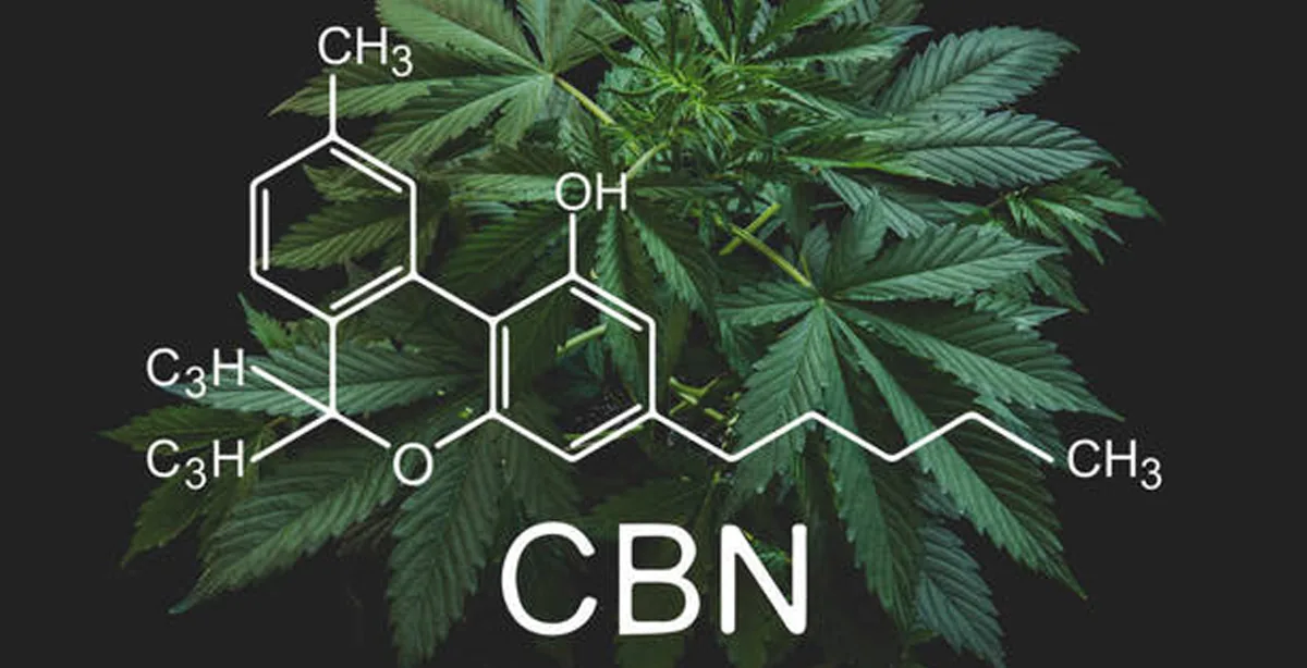 CBD.jpg CBD.jpg