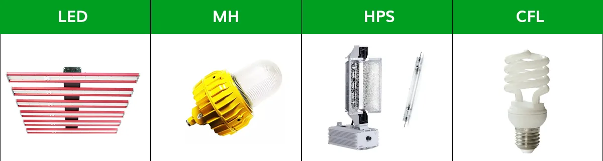 lamp lamp