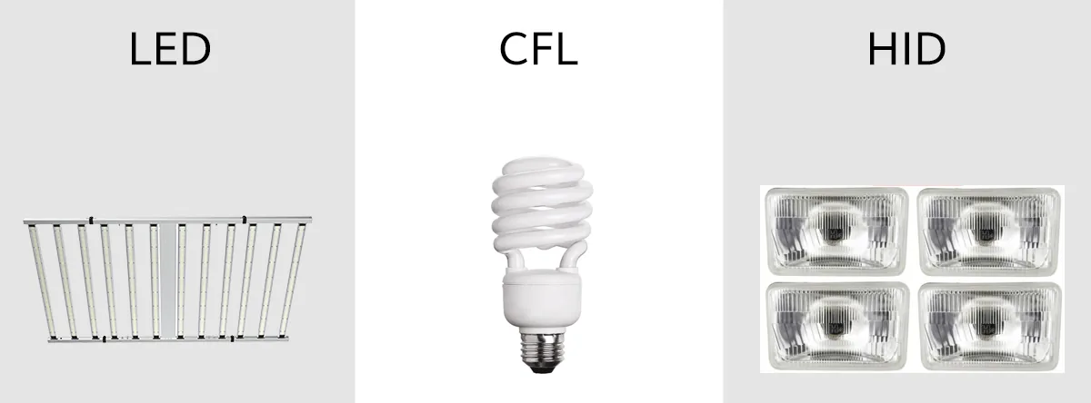 grow light grow light