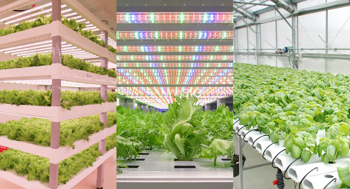 Plant light application scenarios Plant light application scenarios