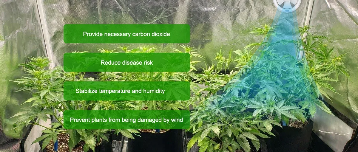 Benefits of air circulation Benefits of air circulation