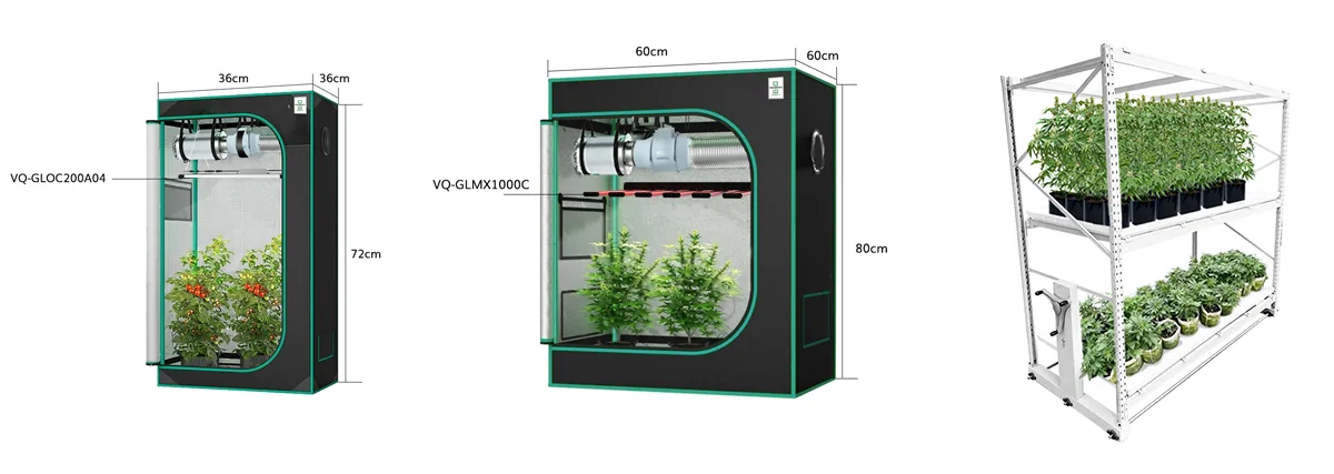 Cannabis cultivation ecosystem Cannabis cultivation ecosystem