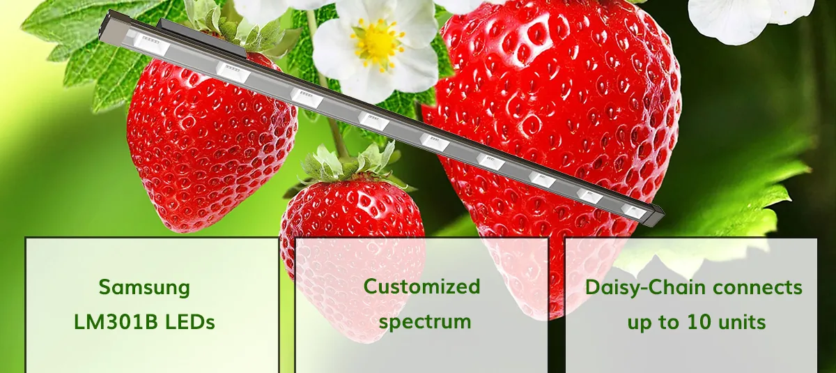 Waterproof 50Watt LED Tube Grow Light Waterproof 50Watt LED Tube Grow Light