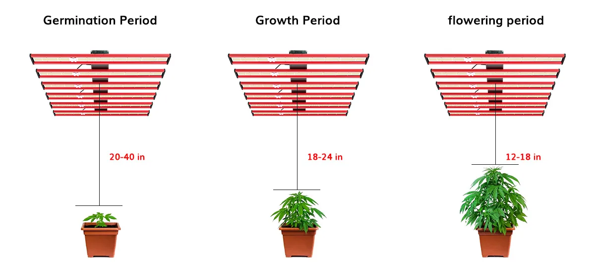 Growth stage and hanging distance Growth stage and hanging distance