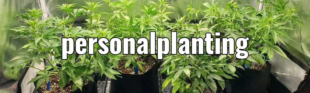 Personal Cultivation