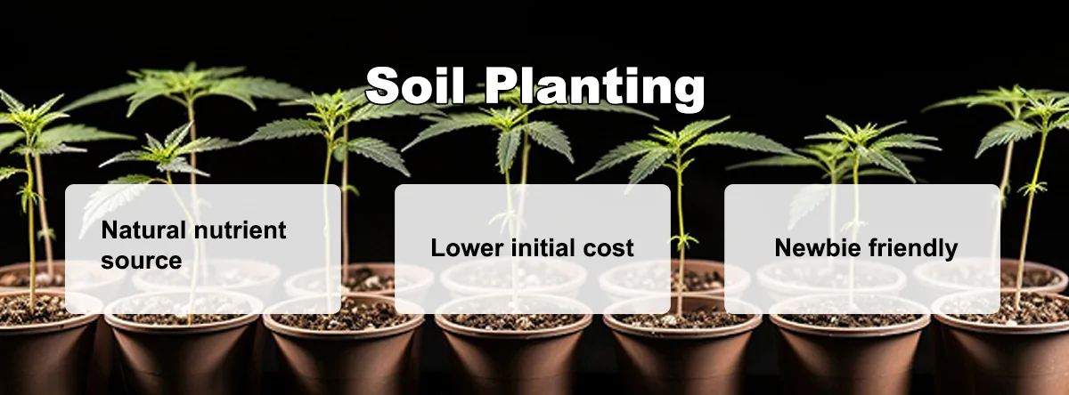 Soil planting Soil planting