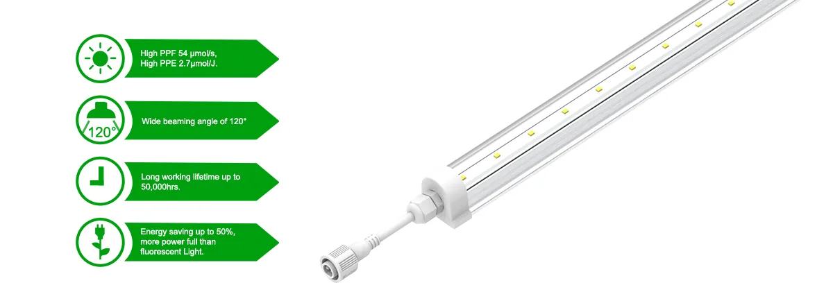 20W leafy vegetable planting light