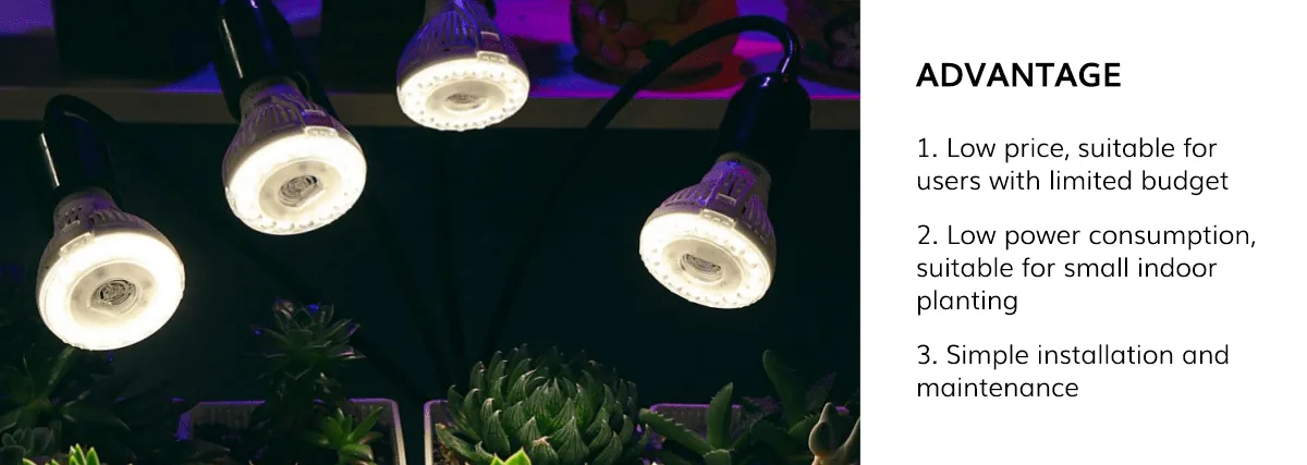 1717658378367066808.jpg 10-02-荧光灯.jpg