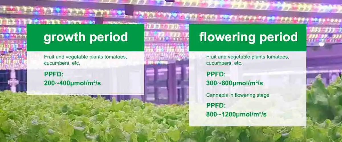 ppfd for vegetative growth ppfd for vegetative growth