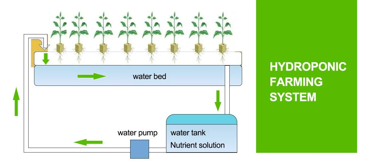hydroponics farming