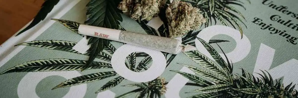 terpenes terpenes