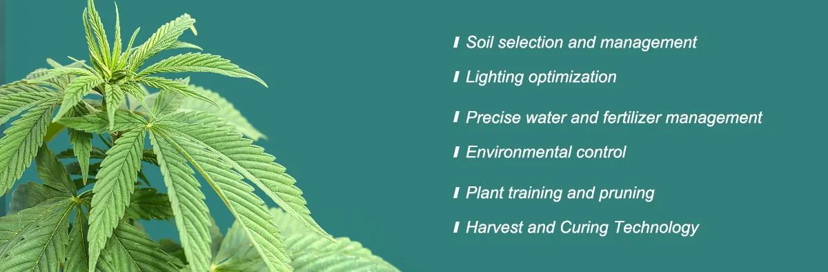 increase terpene increase terpene