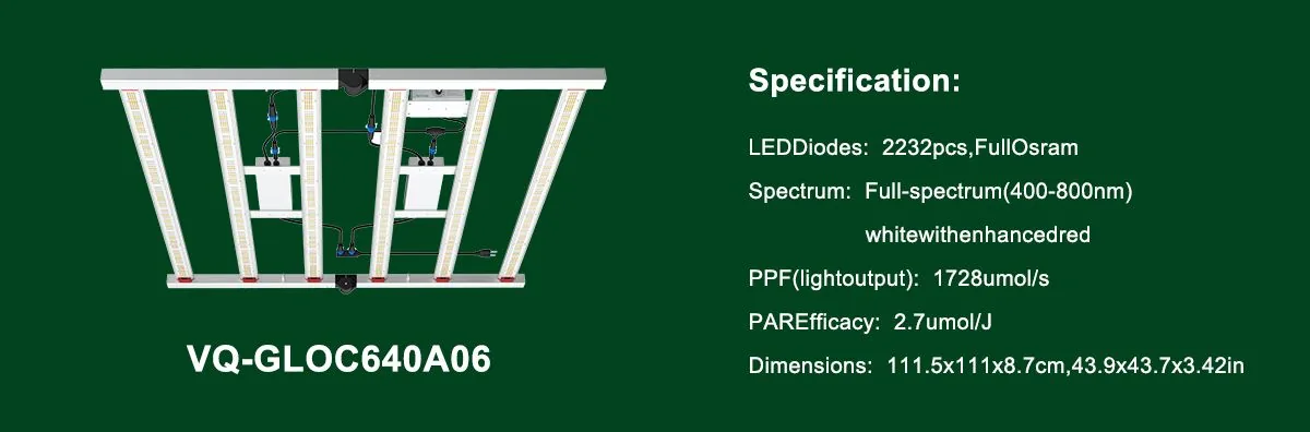 640w LED 640w LED