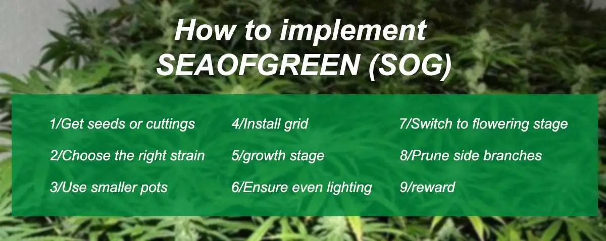 Implementation SOG.jpg Implementation SOG.jpg