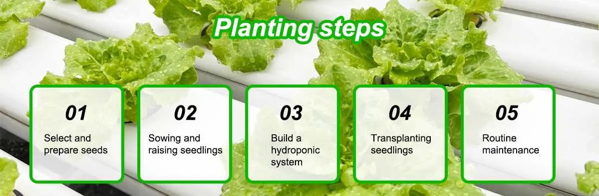 Planting steps Planting steps