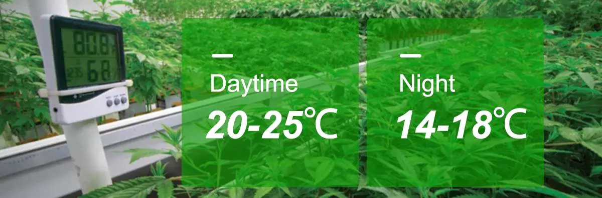 control temperature and humidity control temperature and humidity